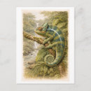 Pesquisar por camaleão verde cartoes postais Lagarto