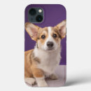 Pesquisar por pembroke iphone capas Dog