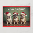 Pesquisar por cães felizes cartoes postais Qualquer pessoa