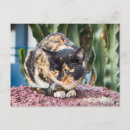 Pesquisar por cat cartoes postais Praia