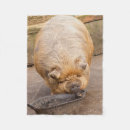 Pesquisar por gordo mantas Fazenda