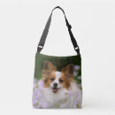 Pesquisar por cão papillon bolsas Bonito