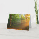 Pesquisar por woods cartoes Tree trunk