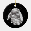 Pesquisar por orelhas ornamentos Coelho