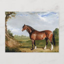 Pesquisar por pintura do cavalo cartoes postais Vintage