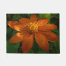 Pesquisar por girassol flor tapetes Natureza