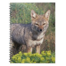 Pesquisar por wolf cadernos de notas Natureza