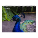 Pesquisar por calendário do pássaro Patos