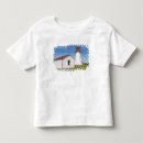Pesquisar por caps camisetas Motor