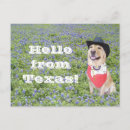 Pesquisar por austin texas cartoes postais Dallas