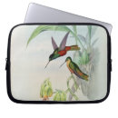 Pesquisar por do colibri capas Colorido