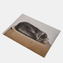 Pesquisar por comprimido Gato