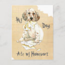 Pesquisar por inglês setter cartão cartoes postais Laverack