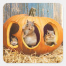 Pesquisar por chipmunk adesivos Humor