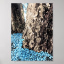 Pesquisar por tronco de árvore pôsteres Floresta