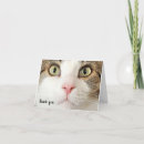 Pesquisar por face cartoes Qualquer pessoa