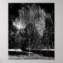 Pesquisar por weeping Céu