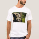 Pesquisar por melanoleuca do ailuropoda Urso