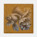 Pesquisar por peixe dourado imas Natureza