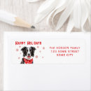 Pesquisar por border collie Natal