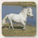 Pesquisar por diminuto porta copos Cavalo