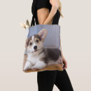 Pesquisar por corgi bolsas Bonito