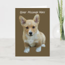 Pesquisar por cachorros cartoes Pembroke welsh corgi