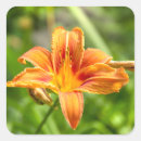 Pesquisar por flores grandes adesivos Para eles