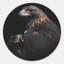 Pesquisar por águia ouro adesivos Vida selvagem