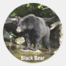 Pesquisar por aventureiros adesivos Animais selvagens