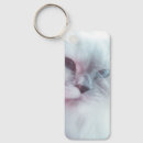 Pesquisar por gato peludo chaveiros Felino