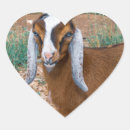 Pesquisar por goats adesivos Animal
