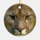 Pesquisar por puma ornamentos Gato