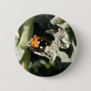 Pesquisar por ladybug botons Animais