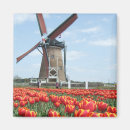 Pesquisar por holland imas Holandês