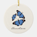Pesquisar por borboleta azul ornamentos Borboletas