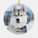 Pesquisar por pet photo ornamentos Fofofo