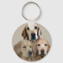 Pesquisar por golden retriever chaveiros Ouro
