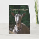 Pesquisar por cabra bonito cartoes Animal