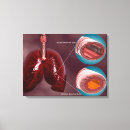Pesquisar por sistema respiratório impressão de canvas Trabalho de arte