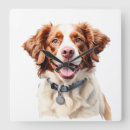 Pesquisar por espanhol relogios de parede Spaniel