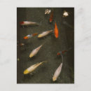 Pesquisar por koi fish cartoes postais Nishikigoi