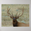 Pesquisar por antlers pósteres pôsteres Qualquer pessoa