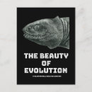 Pesquisar por cartão da evolução cartoes postais Geek