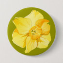 Pesquisar por do daffodil botons Primavera