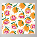 Pesquisar por fruta pôsteres Ilustração