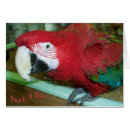 Pesquisar por voado cartoes postais Papagaio