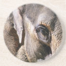 Pesquisar por jardim zoológico porta copos Animais