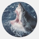 Pesquisar por boca aberta adesivos Animal