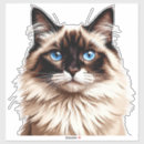 Pesquisar por gato colorido adesivos Animal de estimação